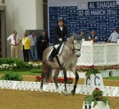 CHI AL SHAQAB