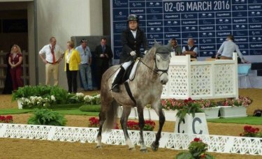 CHI AL SHAQAB