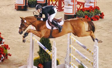 JUMPING HORSES MADRID